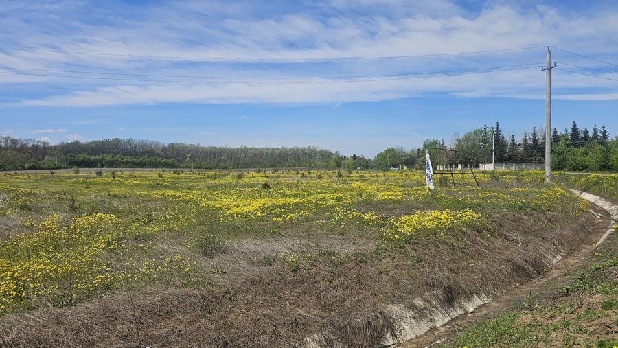 Teren Corbeanca – Balotești, 35.000 mp, lângă pădure și nodul rutier A0.