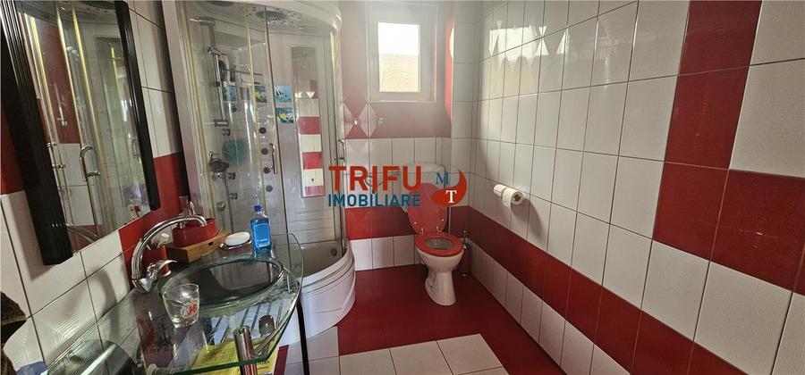 Casa individuala de inchiriat in Alba Iulia Centru 4 camere
