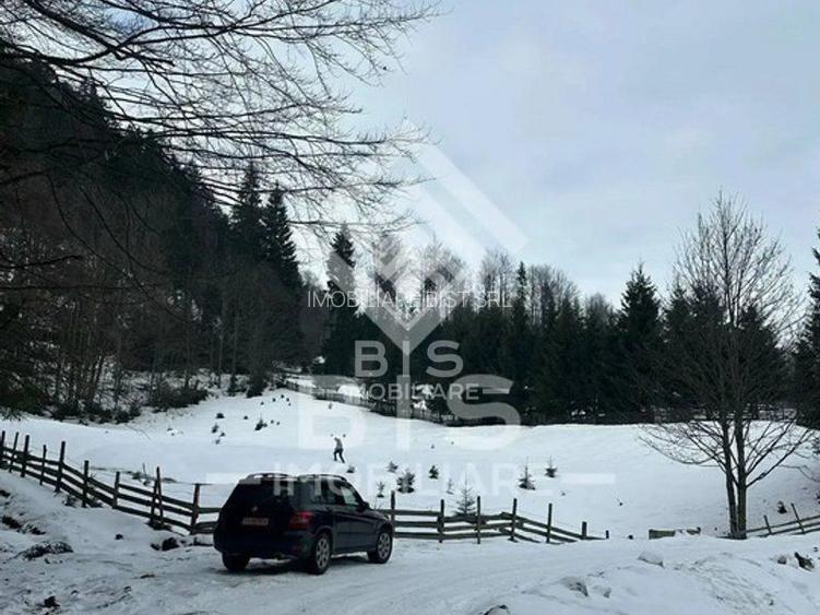 Teren intravilan parcelabil- Colibița, investitie - 4