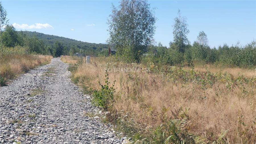 Vanzare parcele de teren 862mp / 1740mp pe Valea Avrigului, Județul Sibiu - 4