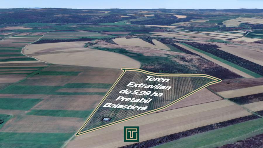 Teren extravilan de 5,99 ha la 200 m de Mureș, ideal pentru balastieră în Ususău