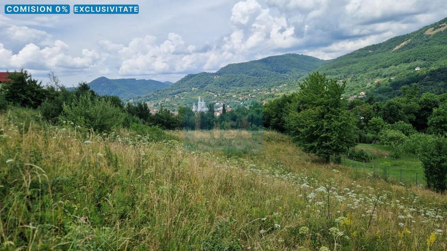 Teren de vanzare in Baia Sprie: 52 Ari, Parcelabil, Comision 0%