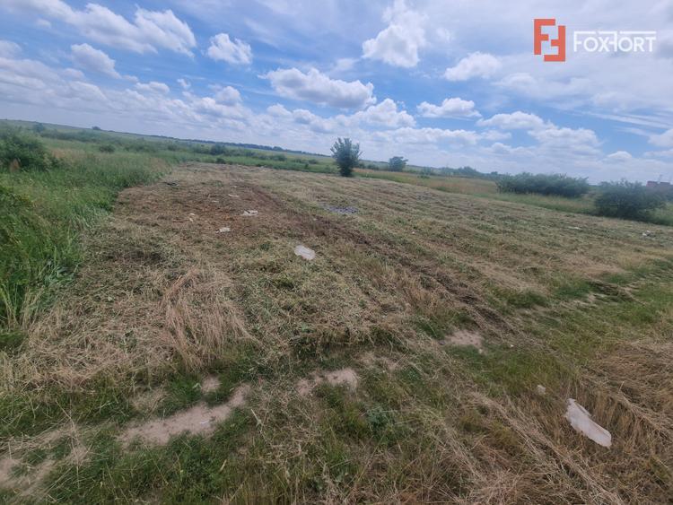 Teren intravilan de 743 mp in Mosnita Veche