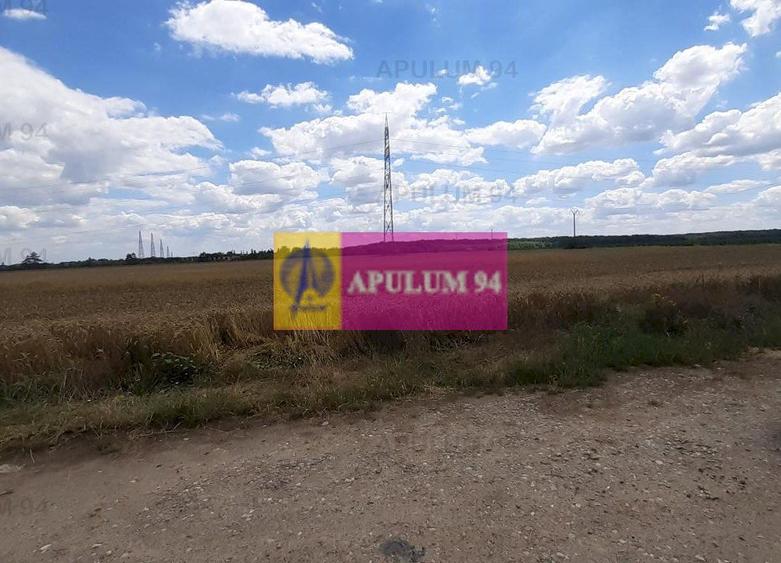 Teren 715mp în Snagov lângă Equestria