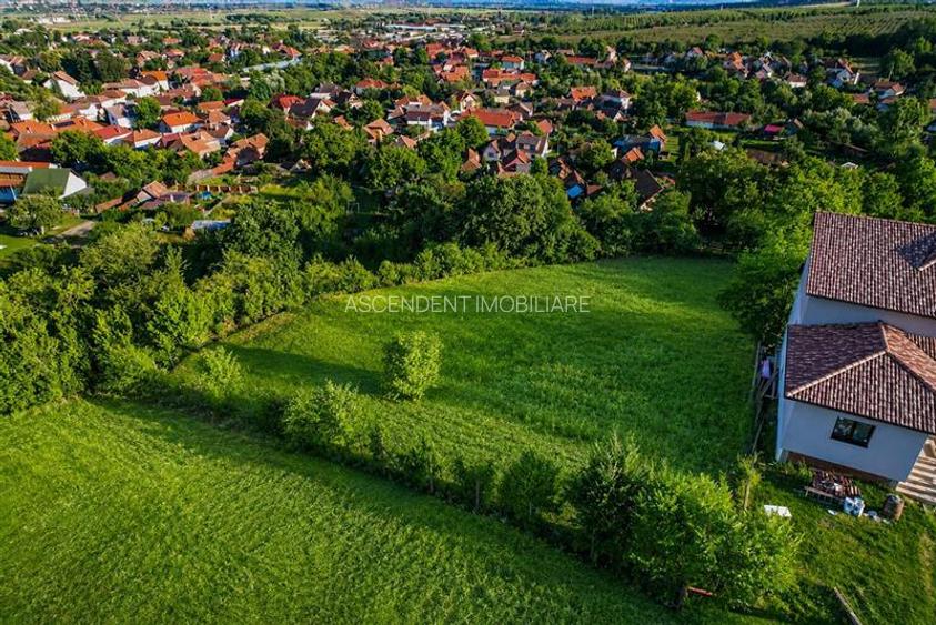 Teren intravilan, cu panorama superba, in Sfantu Gheorghe, Covasna - 2