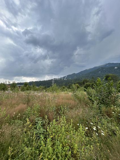 Teren intravilan, 1.724 mp, zona Sinaia - 17