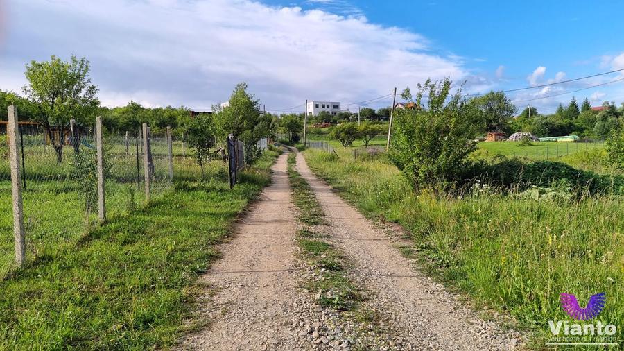Teren Intravilan 1000mp-Zona Daia