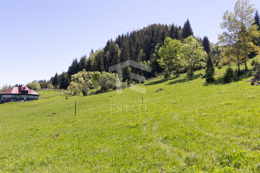 Fundata-Teren de vanzare 15,771 mp intravilan+extravilan+padure