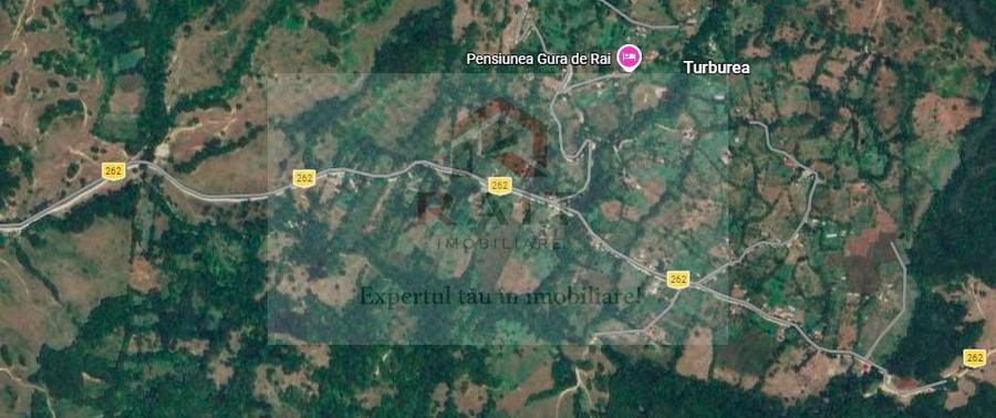 Teren extravilan de vânzare 11.740 mp Corbeni Turburea Argeș