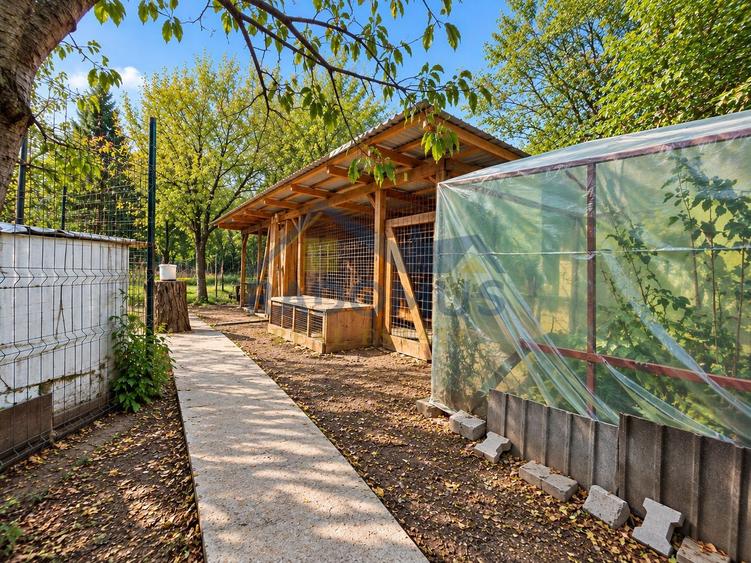 Casă cu 3 camere, anexe și livadă – Lopatnița, Șoimari