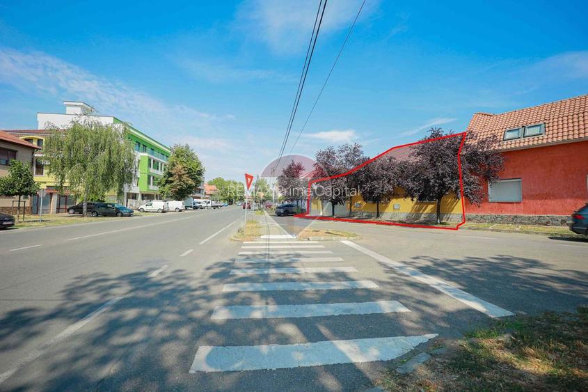 Casă zona Horea, cu apartament separat, grădină amenajată și garaj - 28