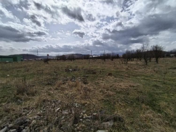 Teren de vanzare, 1.3HA., utilitati, acces din DN
