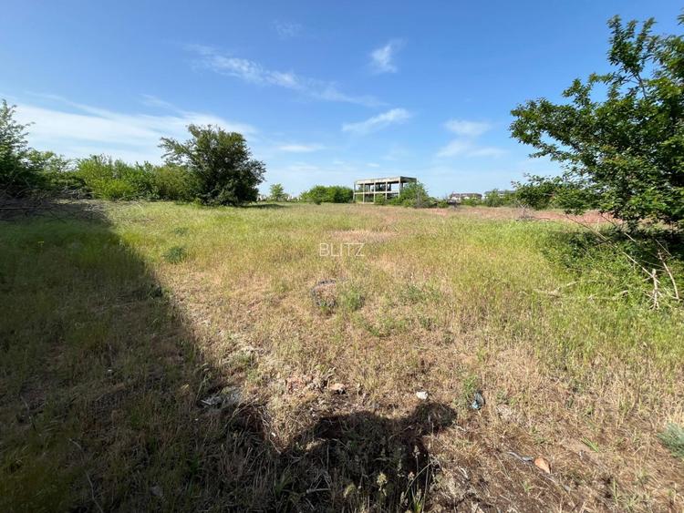 Teren intravilan 13.000 mp, ideal hale - investiție comercială, zona Brestei - 2