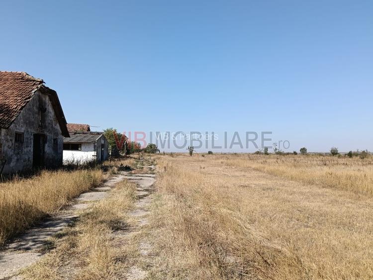 OPORTUNITATE DE INVESTIȚIE – PISCHIA, JUDEȚUL TIMIȘ - 8