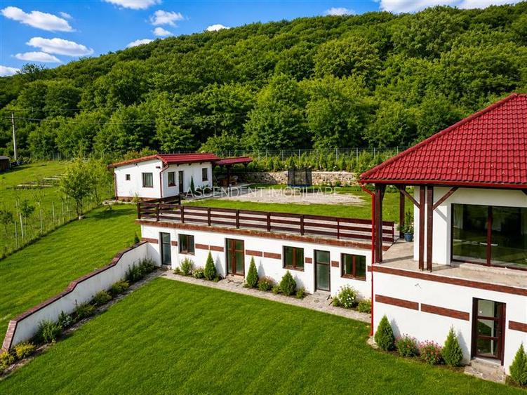 Proprietate premium cu SPA,sauna,casa oaspeti,teren 1.348 mp,acces padure, Sfant - 26