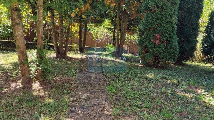 Vila spațioasă 5 dormitoare, Provita de Jos - 3