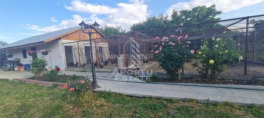 Casa individuala de vanzare cu teren de 2000 mp, Fratelia, Timisoara - 5