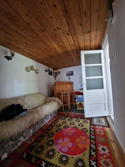 Balilesti - Stradal, casa spatioasa, 4600 mp teren intravilan - curte spatioasa