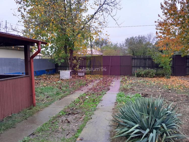 ILFOV - SE VINDE CASA IN ISLAZ / COM. BRANESTI - 49
