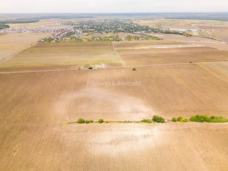 DASCALU – TEREN INTRAVILAN 11300 MP, INVESTITIE! - 10
