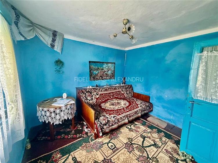Casa  de vânzare Bucium-iasi - 5