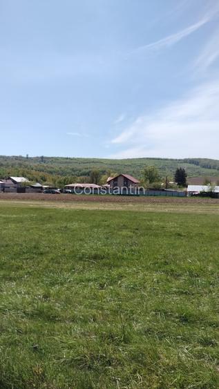 Teren extravilan 7.200 mp Bordea - Grajduri/ Oportunitate Investiție  - 10