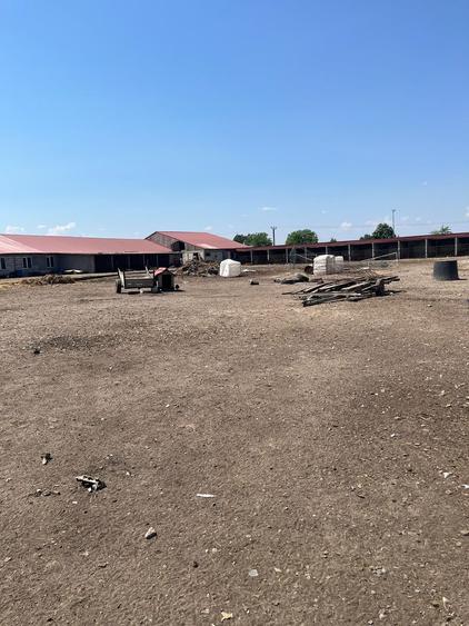 Fermă colectare și îngrașare animale judet Constanta