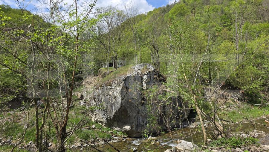 Cabana de poveste în Râmeț | 2000 mp teren + râu pe proprietate | ideală pent - 13