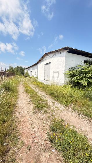 Hală industrială + teren 2.716 mp de vânzare în Baia Mare | Zonă industrială | - 10