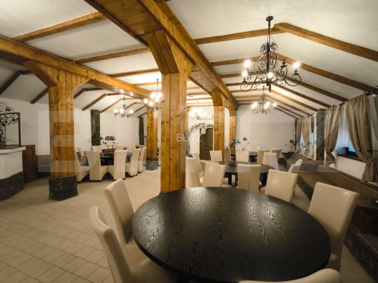 Proprietate multifuncțională, 1.850 mp utili, 23.750 mp teren, zona Brestei - 9