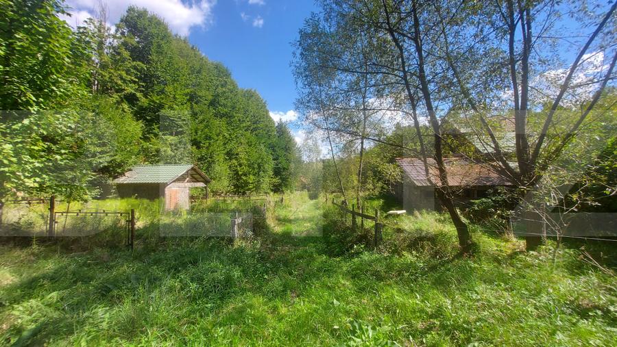 Teren intravilan 1.600 mp + constructie I Natura si liniste I Sita Buzaului