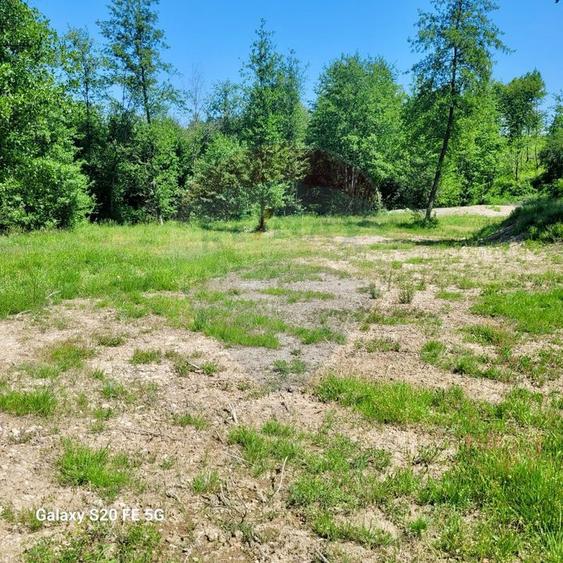 Oază de liniște – teren de vânzare 6.725 mp