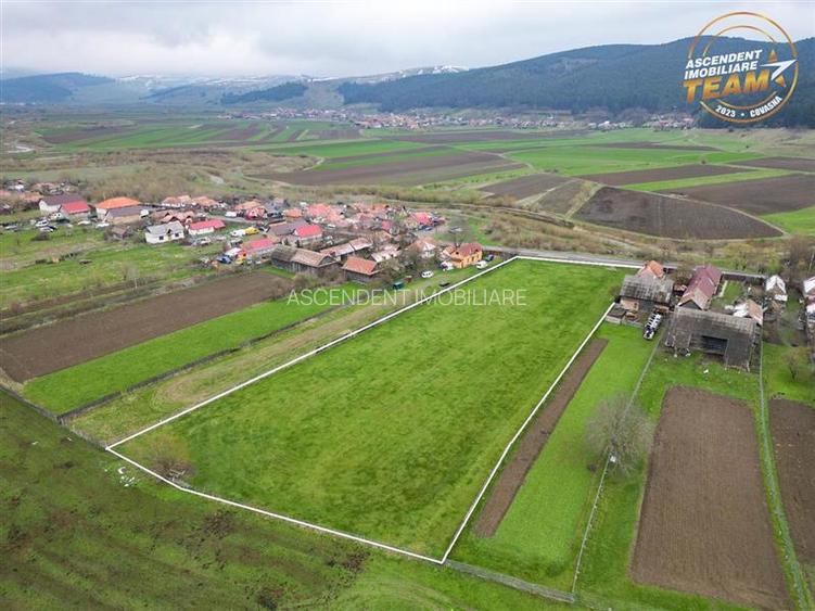FILM!Potential rezidential/ investitional: 8.000 mp intravilan construibil, Sanz