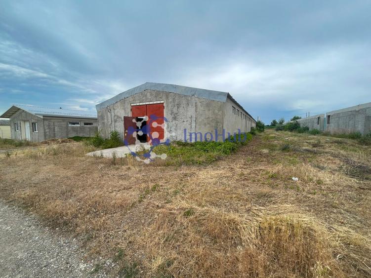 Hală industrială de vânzare – Horlești- Rediu