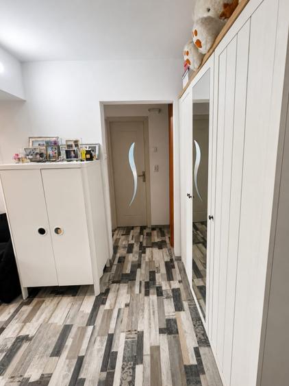 Redus Apartament 2 camere Brazda lui Novac, Bulevardul Dacia