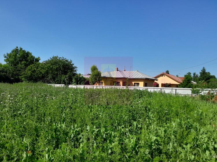 MOVILITA (IL) - SE INCHIRIAZA TEREN LANGA PROFI CU 0.5 EUR/MP/LUNA