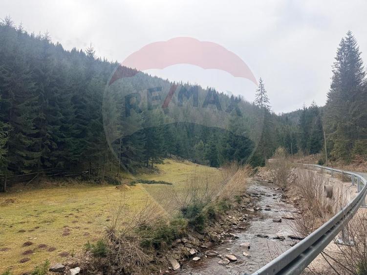Teren intravilan 4331mp | Arieșeni | Oportunitate de Investiție