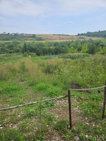 Vand teren intravilan,strada Budiului, 2 parcele,   total 5000 mp,neconstruibil.
