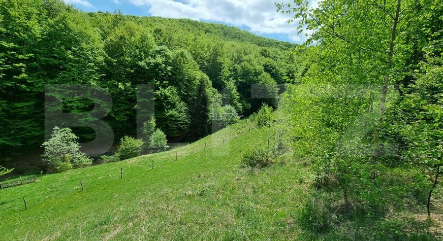 EXCLUSIVITATE! Teren extravilan, 5.400 mp, Comuna Iara, Valea Vadului - 4