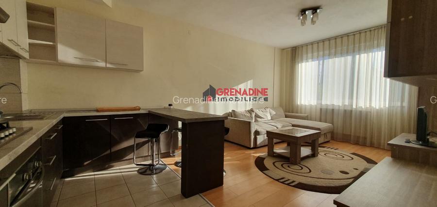 Studio Modern 44 mp Str. Baba Novac - Zona Gemenii - 5