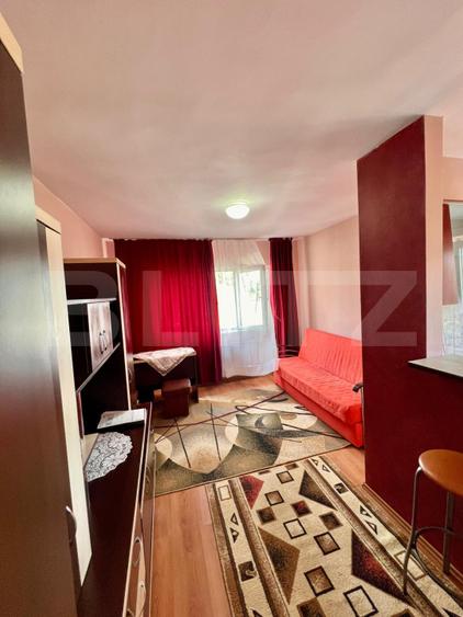 Apartament cu 1 camera, 27.17 mp, zona Calea Turzii