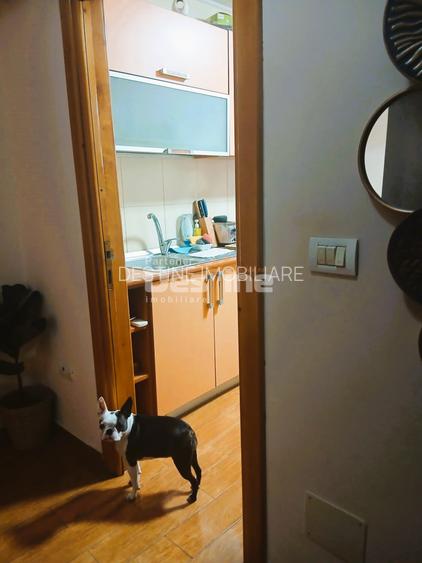 Apartament 3 camere , 2 balcoane , 2 bai ultracentral - 8