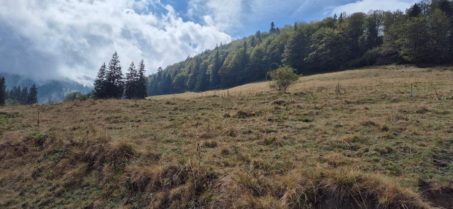 Teren deosebit in cadru de poveste langa cabana Diham, Glajerie