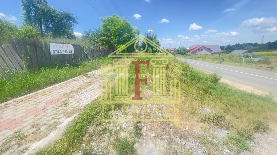Teren Tomesti! - 5