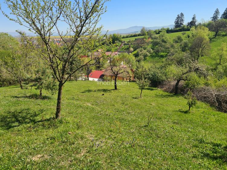 Teren deosebit - 1500 mp, Poiana Angelescu, Str. Livezii - 5
