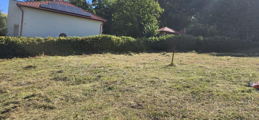 Teren cu PUZ aprobat în Făget, 2072 mp