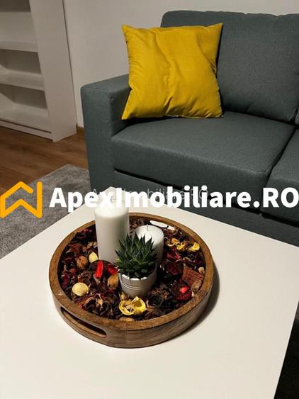 Apartament 2 camere de inchiriat Decebal București | ApexImobiliare.ro - 6