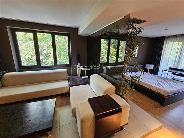Inchiriere apartament strada Hasdeu, aproape de UMF, Central, Cluj-Napoca - 10