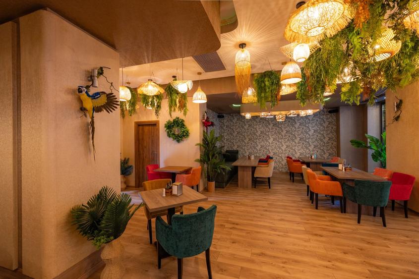 Decebal -DRISTORULUI -ALBA IULIA - 240 mp-PRET 5.000 EURO