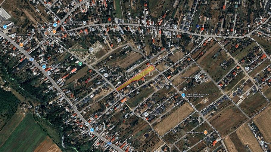 DOMNESTI - 5,200 M²- Strada Campul cu Flori - 4